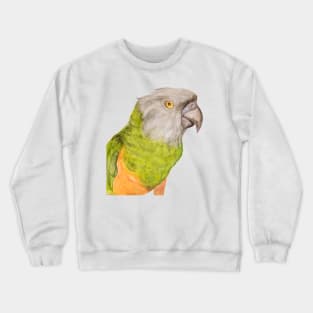 Youyou of Senegal Parrot Parrot Tropical Bird Watercolor Art Print Crewneck Sweatshirt